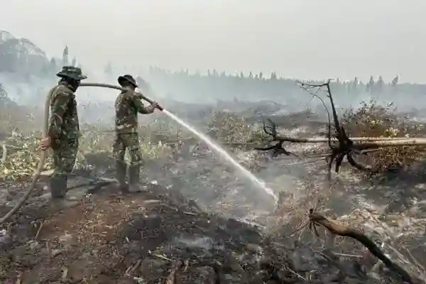 Karhutla Masih Meluas di Kalimantan, Penanganan Berlanjut di Sumatera Selatan