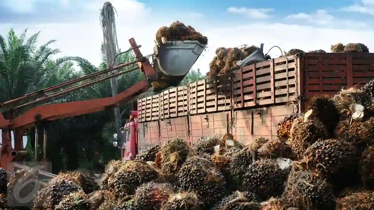 Dari Hasil Perkebunan ke Produk Bernilai Tambah: Langkah Hilirisasi PTPN I
