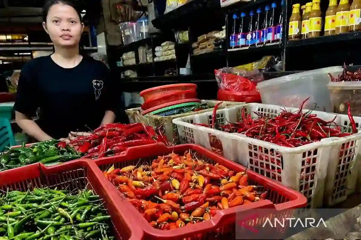 PIHPS Rekam Cabai Rawit Merah Rp130.000 per Kilogram