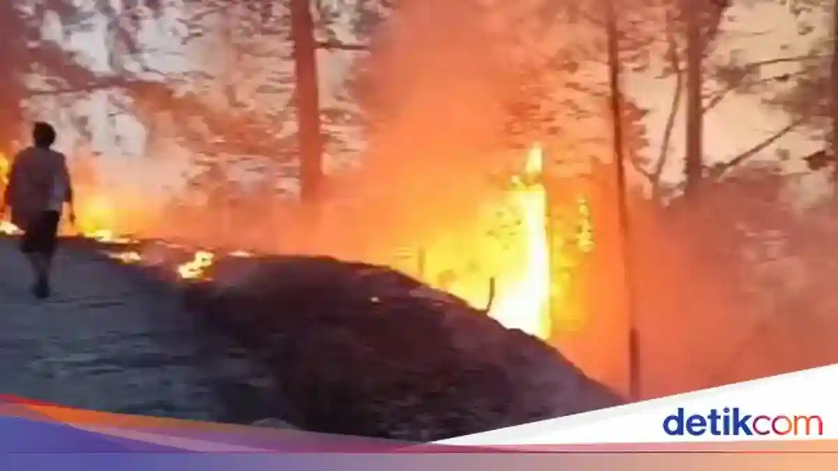 Petugas Manggala Agni Gugur Saat Memadamkan Karhutla di Toraja Utara