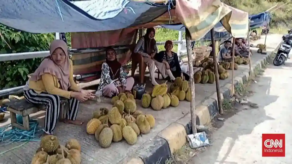 Durian Lokal Melimpah, Jembatan Kuning Lubuklinggau Ramai Pembeli