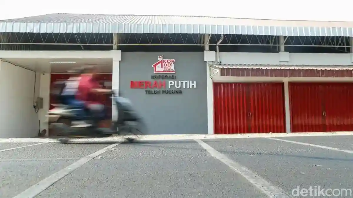 Klinik Koperasi Merah Putih dan BPJS: Rencana Layanan serta Syarat Kemitraan