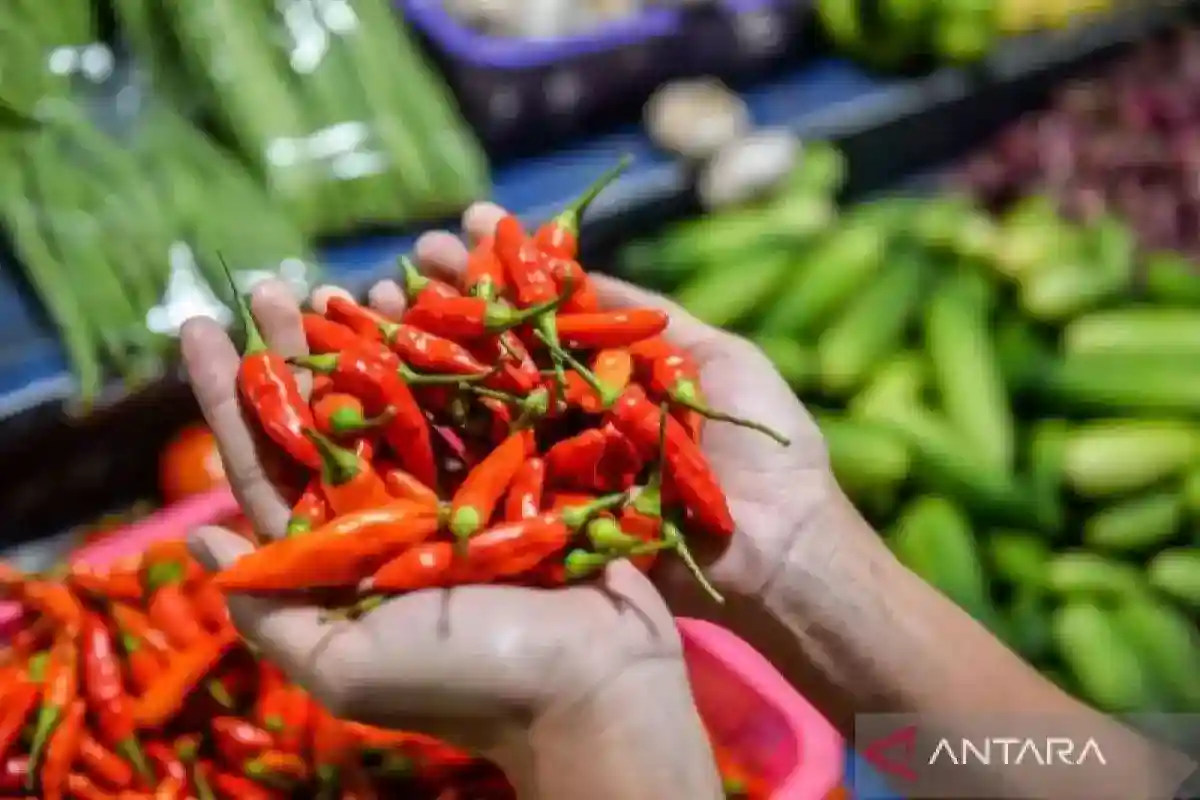 Harga Pangan Nasional: Cabai Rawit Merah Tercatat Rp96.200 per Kilogram