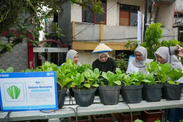 Dari Lahan Terbatas, Warga Bandung Kembangkan Pertanian Perkotaan